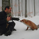 Illustration for article titled You Can Experience Fox Heaven in Japan
